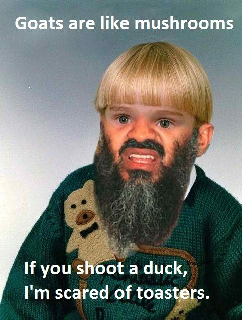 untitled.png