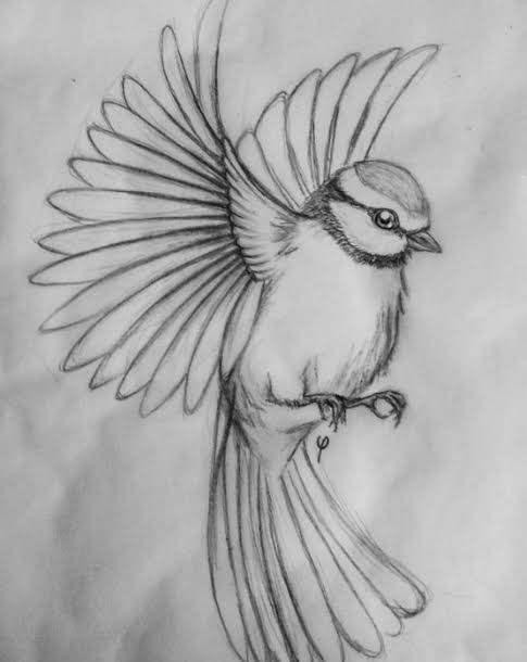 upload_2019-2-13_6-33-31.jpeg