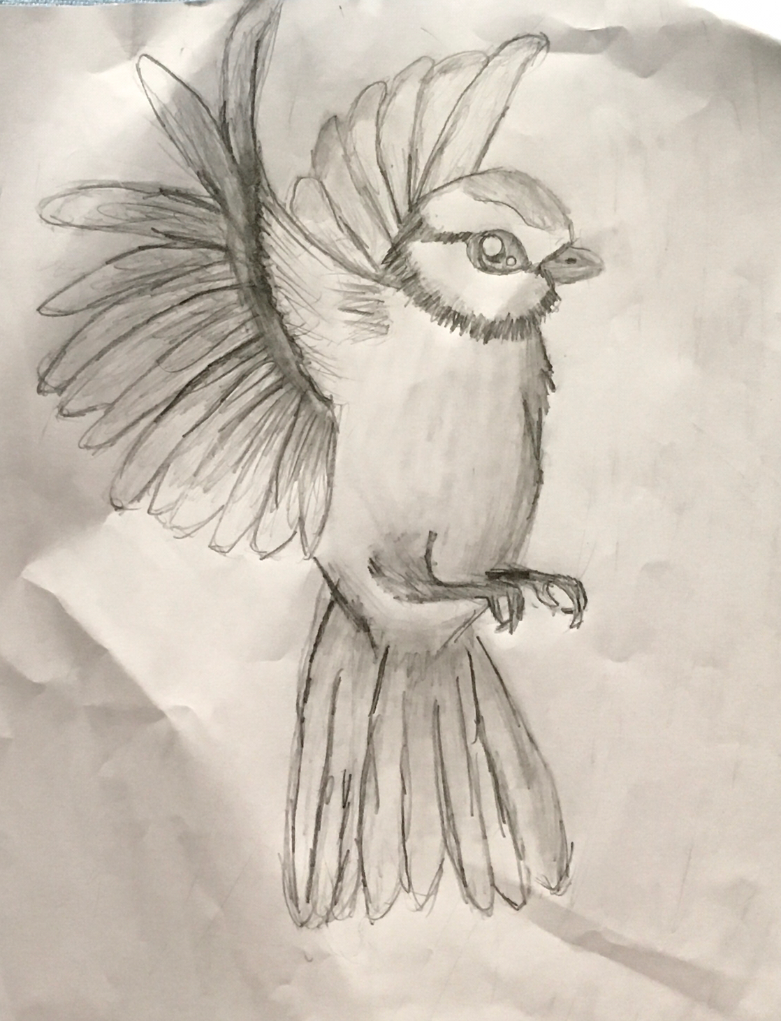 upload_2019-3-22_21-48-52.jpeg