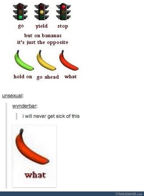 What.jpeg