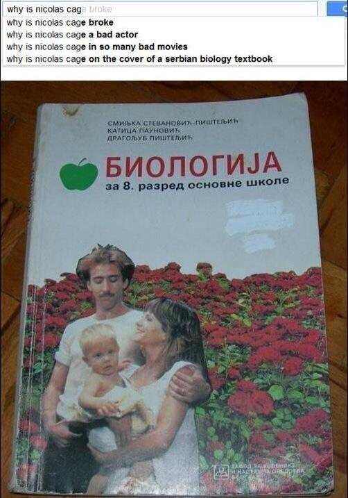 WTPpccC_d.jpg