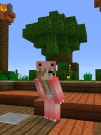 IMG_0005.PNG