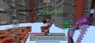 IMG_2468.jpeg