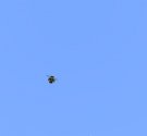 8708732F-CD87-43AC-B131-F93007550370.jpeg