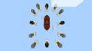 Screenshot_20180812-102608.png