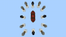Screenshot_20180812-143615.png