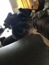 53204E36-B798-4FE0-BDDF-0E68F24BE643.jpeg