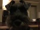 37E19199-AAFD-46A7-B3D0-4D5F983F6844.jpeg