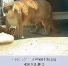 IMG_0472.jpg
