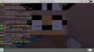 Screenshot_20181121-030235_Minecraft.jpg