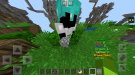 Screenshot_20181125-195728_Minecraft.jpg