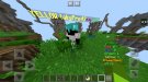 Screenshot_20181125-195736_Minecraft.jpg
