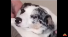 0AA14EB9-1088-4338-837B-635711BAAF3C.png