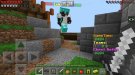 Screenshot_20190216-113057_BlockLauncher Pro.jpg