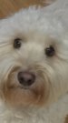 image1.jpeg