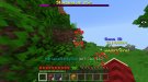 Screenshot_20190402-153045_Minecraft.jpg