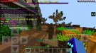 Screenshot_20190505-150920_Minecraft - Pocket Edition.jpg