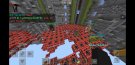 Screenshot_20190602-125026_Minecraft.jpg
