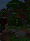 Capture.PNG
