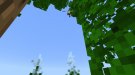 2019-06-20_13.19[16].jpeg