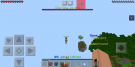 Screenshot_2019-07-24-22-02-19-747_net.zhuoweizhang.mcpelauncher.png