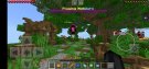 Screenshot_20190730-155919_Minecraft.jpg