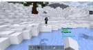 Minecraft 8_11_2019 3_04_37 PM.png