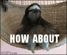 4497.gif
