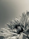 5BB23647-0EB4-4D8F-B50F-8C493CF0116B.jpeg