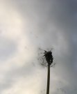 F3642571-60C5-453E-BE37-3D7C8E2D9E21.jpeg
