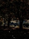 1027191007_HDR~2.jpg