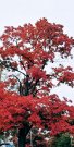 1025191536a_HDR~2.jpg