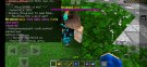 Screenshot_20191119_084810_com.mojang.minecraftpe.jpg