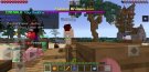 Screenshot_20191123-213041_Minecraft.jpg