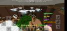 Screenshot_2019-11-27-14-22-14-809_com.mojang.minecraftpe.png