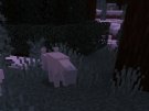 D8CA5E22-5186-4E99-ADD7-76A423E78C96.jpeg