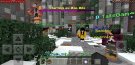 Screenshot_20200104-200052_Minecraft.jpg