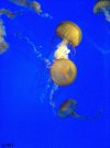 49B611D3-07E8-4519-A7A0-23D7945D5BC2.jpeg
