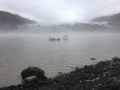 E0808D78-63EC-49BD-B8D4-CFB22344D904.jpeg