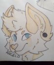 Angelo.jpg