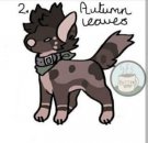 Hendrix Adopt.jpg