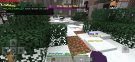 Screenshot_20200128-224304_Minecraft.jpg