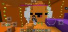 Screenshot_20200220-184921_Minecraft.jpg