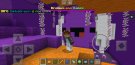 Screenshot_20200220-184911_Minecraft.jpg