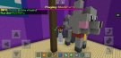 Screenshot_20200220-183727_Minecraft.jpg