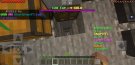 Screenshot_20200223-174744_Minecraft.jpg