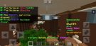 Screenshot_20200223-180150_Minecraft.jpg