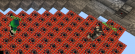 Screenshot (319).png