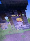 CA1694FE-2D3F-42C2-B5F1-45856BDDC616.jpeg