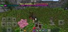 Screenshot_20200417-191745_Minecraft.jpg